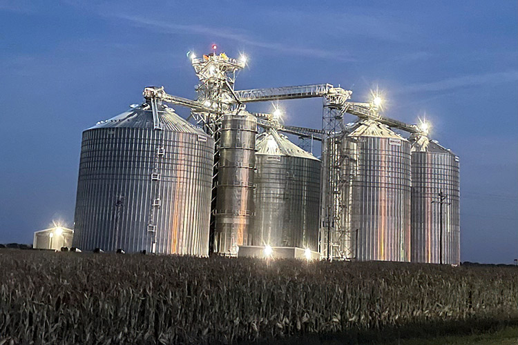 grain3