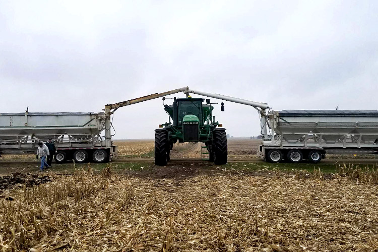 grain4